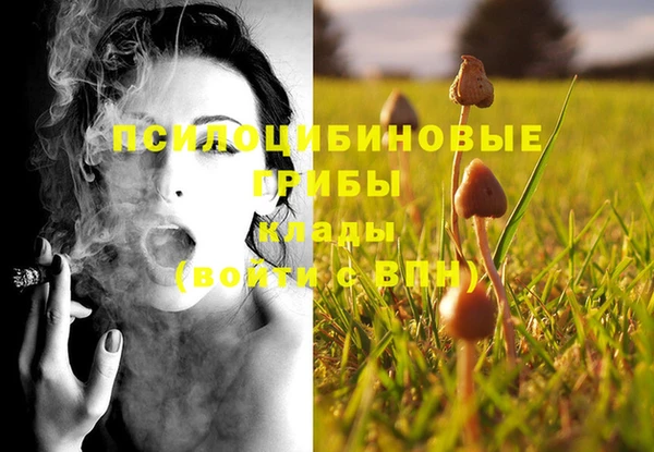 метамфетамин Аркадак