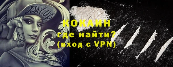 сатива Армянск