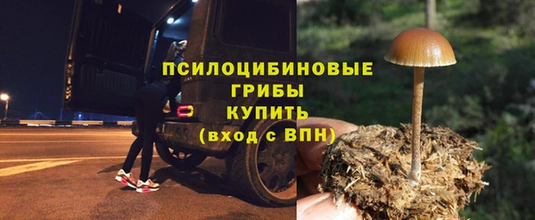 сатива Армянск