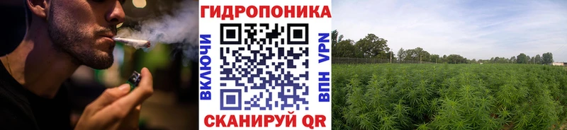 Бошки марихуана THC 21% Полевской